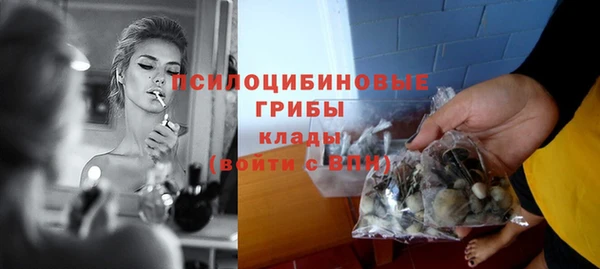 apvp Белокуриха