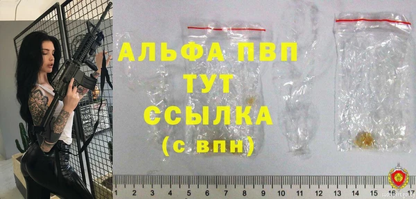 спиды Богданович